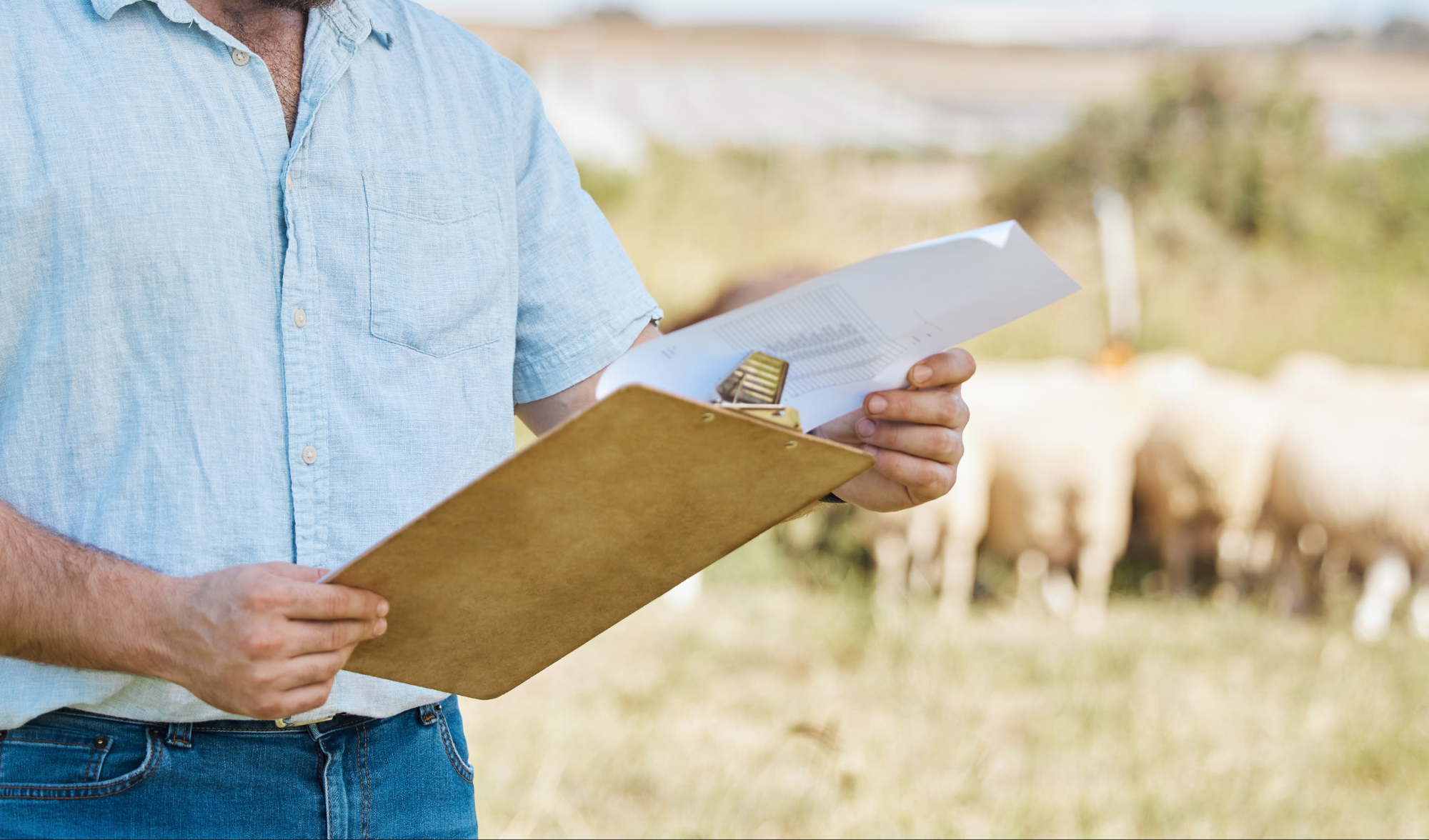 Descubra como a holding familiar rural elimina o inventário, reduz o ITCMD e protege o patrimônio do agronegócio para as próximas gerações. Saiba como estruturar.