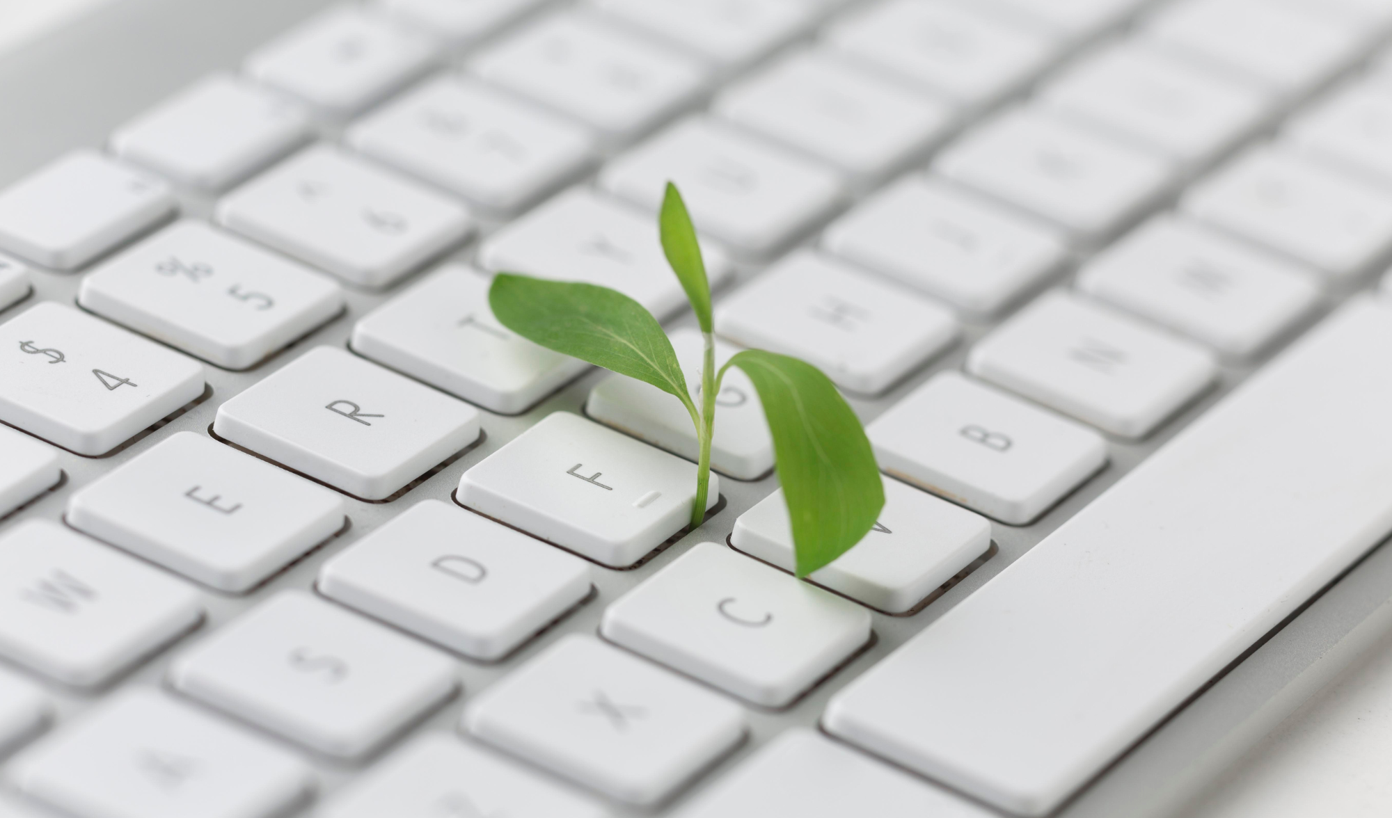 Adote uma nuvem sustentável com a MACROMIND e reduza os custos operacionais enquanto contribui para o meio ambiente.