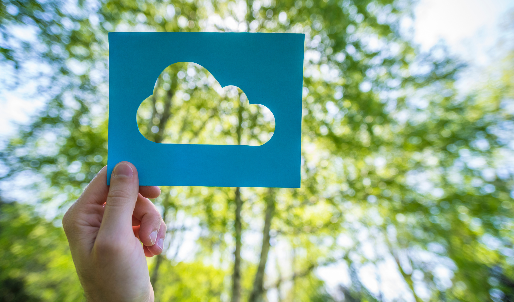 Cloud sustentável para empresas: reduza impacto e custos